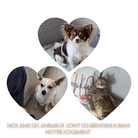 Lägenhet Le Petit Soleil Du Nord *